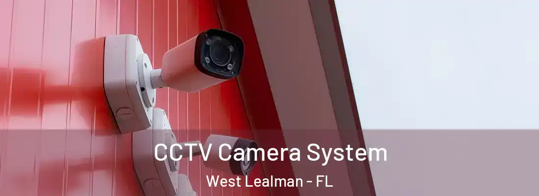 CCTV Camera System West Lealman - FL