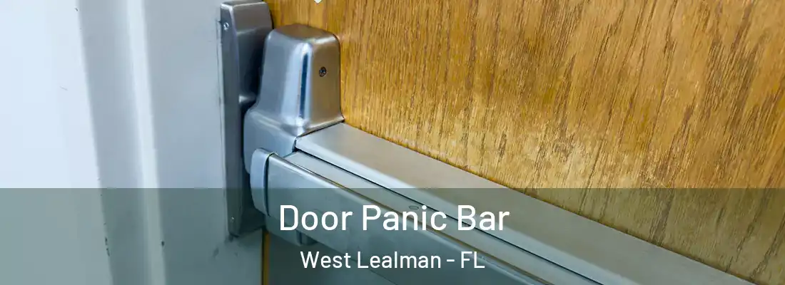 Door Panic Bar West Lealman - FL