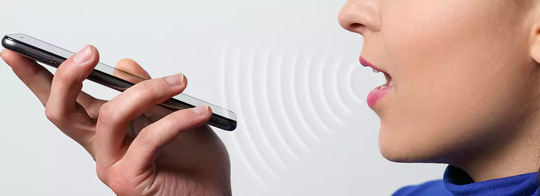 Residential and Commercial Voice Recognition Access Solutions in West Lealman, FL