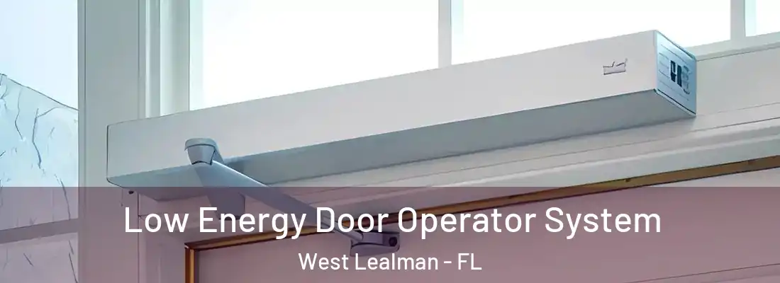 Low Energy Door Operator System West Lealman - FL
