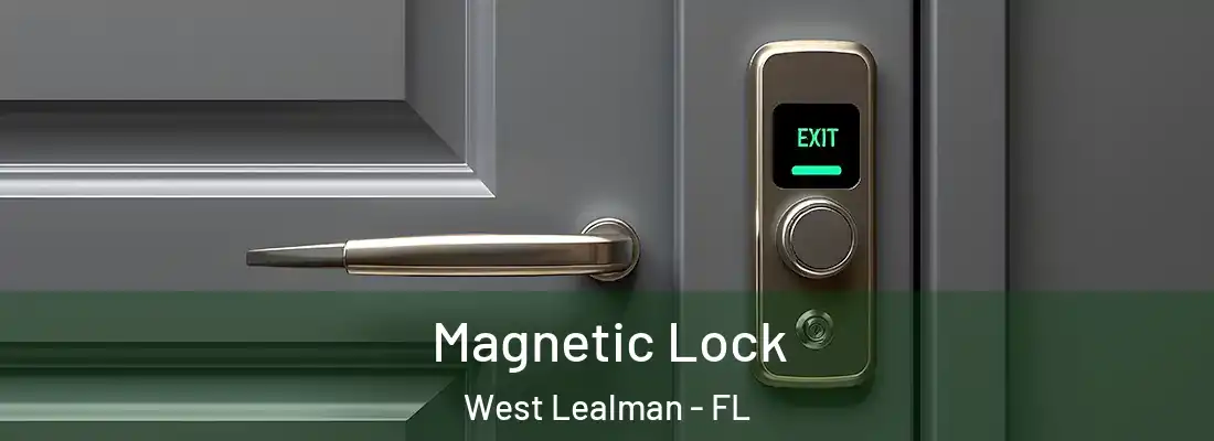 Magnetic Lock West Lealman - FL